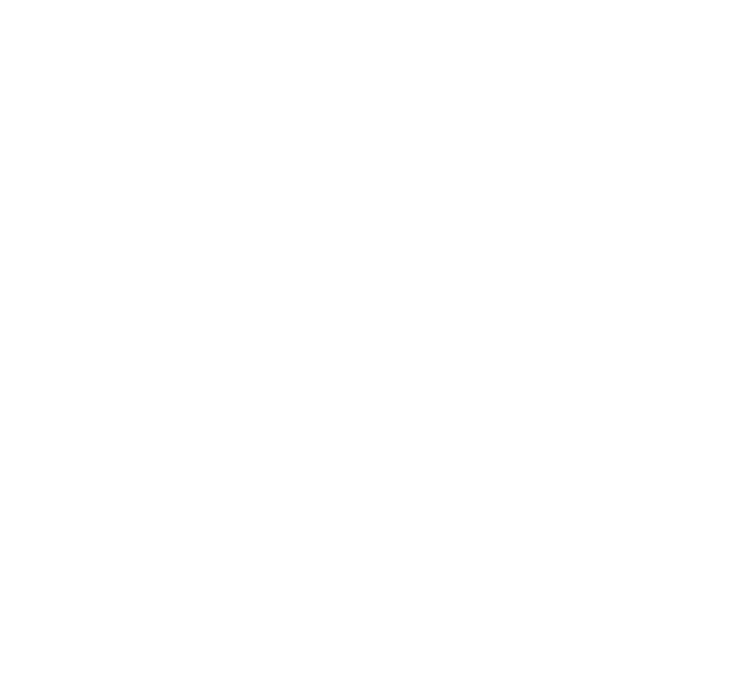 Vincenzopacconedotcom